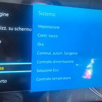 Display Monitor TV Samsung 55 pollici