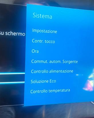 Display Monitor TV Samsung 55 pollici