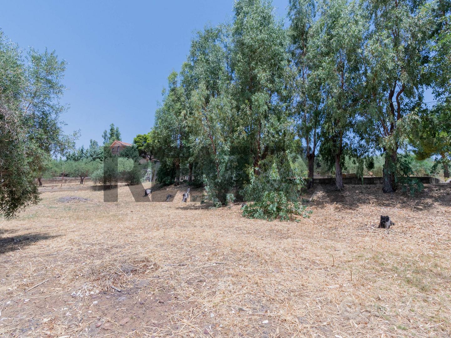 Terreno - Misilmeri - Vista 2