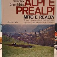 Aurelio Garobbio - Alpi e Prealpi. mito e realtà