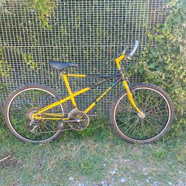 Bianchi Ragno Thomisus MTB vintage anni 90