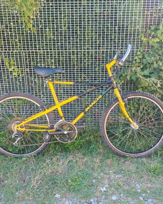 Bianchi Ragno Thomisus MTB vintage anni 90