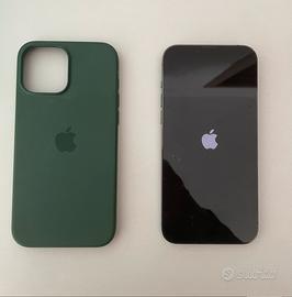 Iphone 13 pro max 256 gb