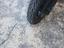 Immagine 6
