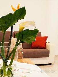 Casa Vacanze I Corbezzoli 1/B