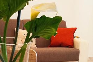 Casa Vacanze I Corbezzoli 1/B