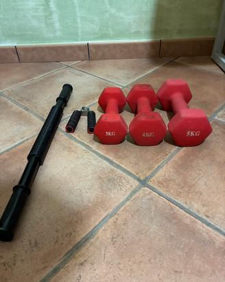Palestra