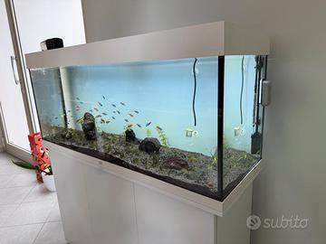 Acquario Juwel Rio 240 completo di mobile + Filtro