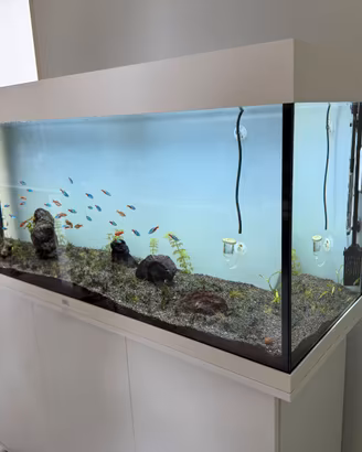 Acquario Juwel Rio 240 completo di mobile + Filtro