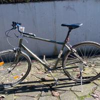 Bicicletta modello california