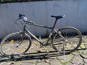 Bicicletta modello california