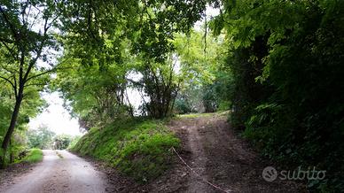 Rudere per ricostruire un casale da favola