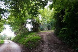 Rudere per ricostruire un casale da favola