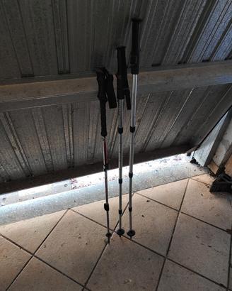 bastoni trekking nordicwalk