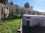 Immagine 14