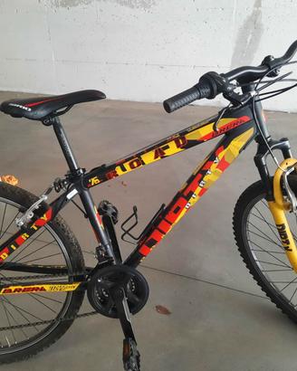 bici mountain bike