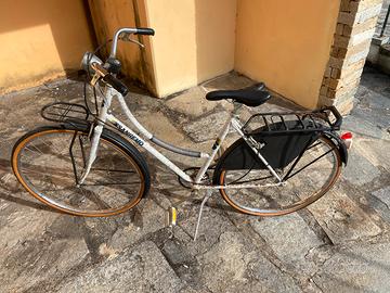Bicicletta da passeggio