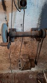 albero con motore elettrico