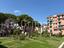 Immagine 9