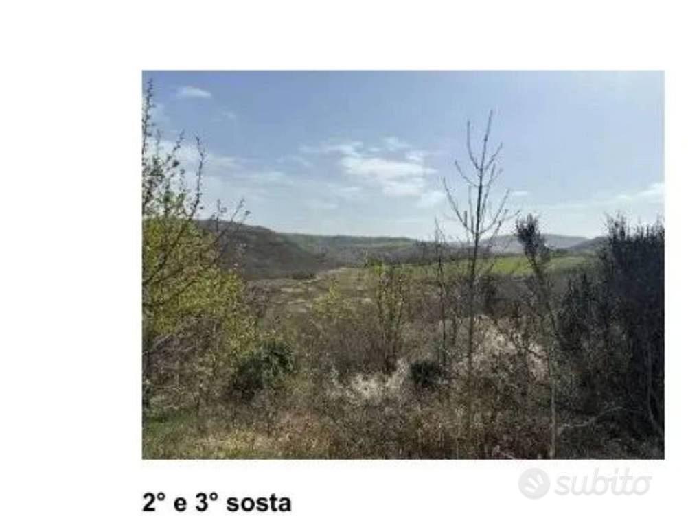Immobile in asta di 52795 m² a Bagnoli del Trigno - Vista 2