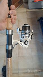 bolognese carpe potente