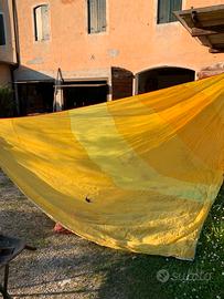 Spinnaker per 470 perfetto