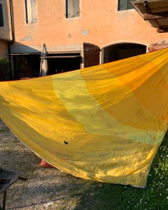 Spinnaker per 470 perfetto