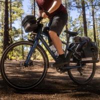 Bicicletta elettrica