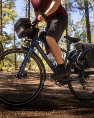 Bicicletta elettrica