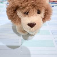 Mini Peluche Trudi Leone