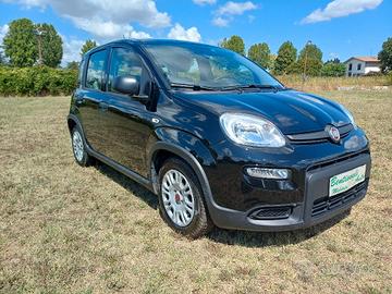 Fiat Panda 1.0 FireFly Hybrid 2023 Km 98.000