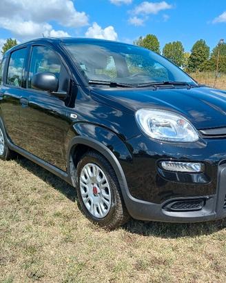 Fiat Panda 1.0 FireFly Hybrid 2023 Km 98.000