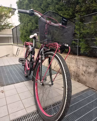 Bicicletta 