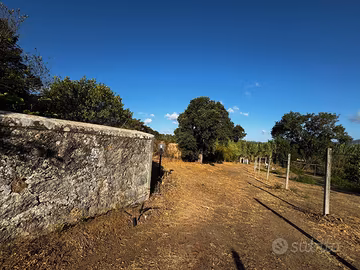 Terreno 6000mq vicino a Gonnosfanadiga