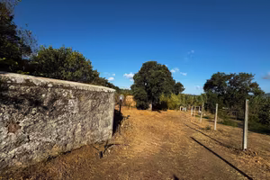 Terreno 6000mq vicino a Gonnosfanadiga