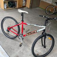 Bicicletta mountain bike