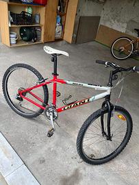 Bicicletta mountain bike