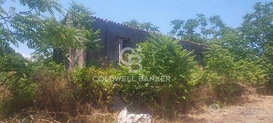 Terreno agricolo - Santa Venerina