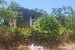 Terreno agricolo - Santa Venerina