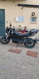 leoncino 500 del  2022