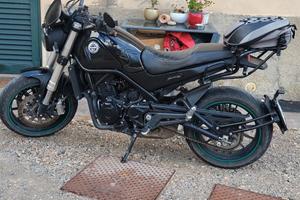 leoncino 500 del  2022
