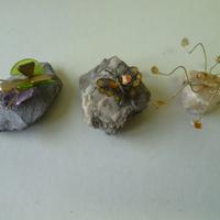 Minerali rocce gemme insetti 3 pz. collezione