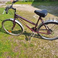 Bicicletta uomo nuova