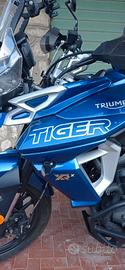Triumph tiger xrx 800