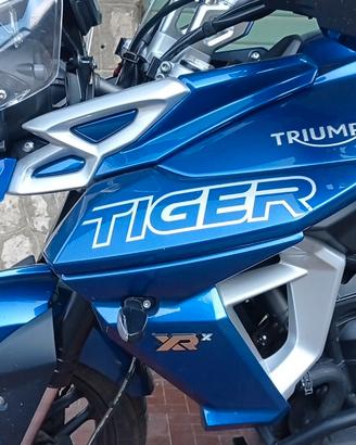 Triumph tiger xrx 800