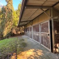 Box per cavalli e terreno