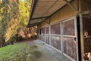 Box per cavalli e terreno