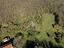Immagine 12