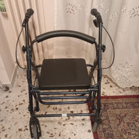 Carrello disabili
