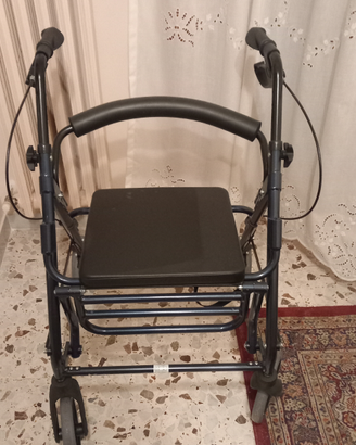 Carrello disabili